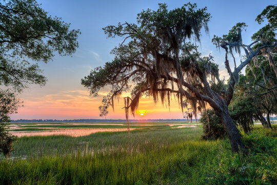 Marsh Sunset