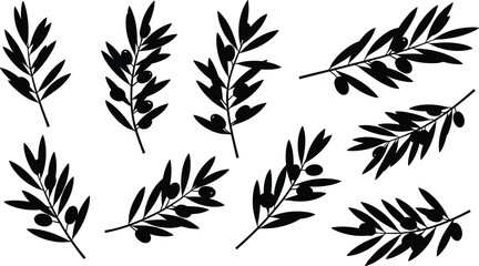 Obraz premium Olive branches silhouette vector, black botanical leaf design, Mediterranean plant clipart, herbal nature element, flat minimalist illustration art