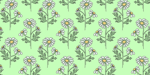 Summer Seamless Pattern with Daisies