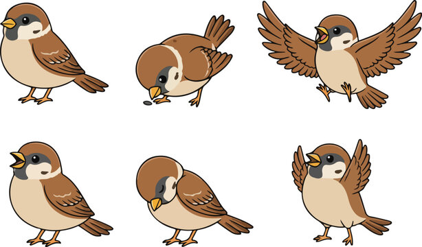 vector illustration of sparrow bird funny cute cartoon mascot character cartoon with 6 poses 