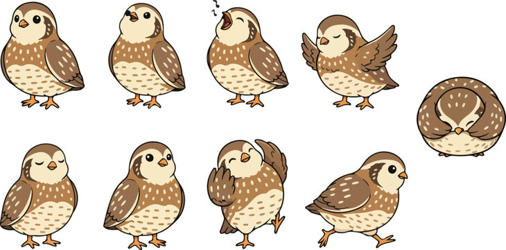 vector illustration of quail bird funny cute cartoon mascot character cartoon with 9 poses 