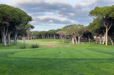 Obraz premium Beautiful green golf course landscape with winding path.