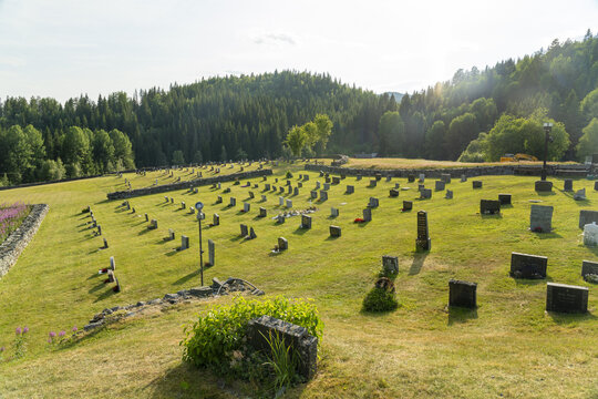 View of sun-drenched tombstones stand in silent rows across a verdant cemetery, backed by a dense forest under a clear sky, Eidsborg, Telemark, Norway.