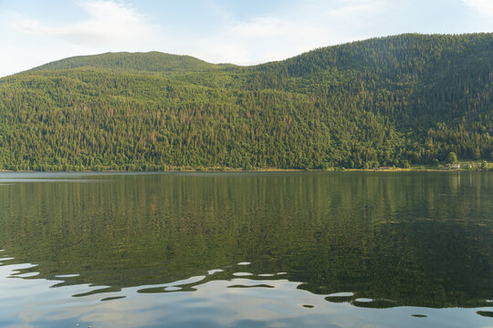 View of shimmering lake mirroring the lush green mountains under a soft, pale sky, creating a tranquil, picturesque scene, Dalen, Telemark, Norway.