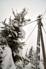 An outdoor electrical meter covered with thick snow stands on a pole in a winter landscape. Snow-laden spruce branches and a brick fence surround the scene, emphasizing cold weather and rural life