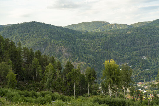 View of lush green mountains densely packed with trees under a cloudy sky, a serene landscape of natural beauty, Dalen, Telemark, Norway.