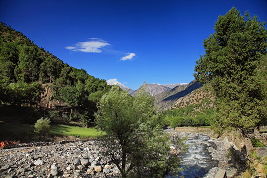 View of a fast-flowing river carving its way through a valley, flanked by verdant trees and shadowed slopes, beneath a brilliant blue sky, Chitral, Khyber Pakhtunkhwa, Pakistan.