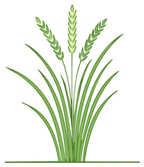 Obraz premium Green Grasses and Grains Illustration Simple Wheat Stalks Drawing Isolated on White