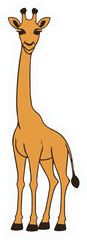 Minimal vector sticker of a giraffe standing, simplified long neck proportions, clean outline, flat design, white background, educational illustration use