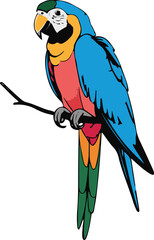 Minimalist vector sticker of a parrot perched, simplified feather shapes, clean outline, flat design, white background, tourism and lifestyle use