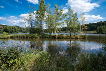 Quiet Natural Sanctuary, Serene Water Scene With Reeds, Peaceful Haven Amidst Tranquil Waters And Reflections