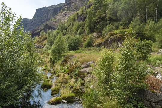 View of the serene stream cutting through the verdant landscape, embraced by rugged cliffs and flourishing greenery, Helleren, Jossingfjord, Norway.