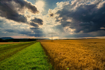 Bountiful Rural Landscape, Sunlit Wheat With Stormy Sky, Vivid Countryside Scene With Contrasting Weather