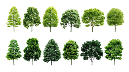 Set of small decorative trees arranged in two rows, varied canopy shapes and lush green foliage with simple trunks and clean greenery silhouettes, isolated on transparent background.
