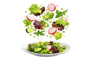 Fresh salad with radish and cucumber on transparent background photo