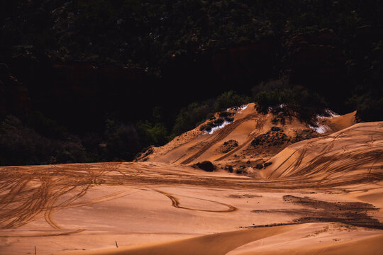 View of orange dunes etched with winding trails meet a dark, forested backdrop, creating a stark contrast in Coral Pink Sand Dunes State Park, Kanab, Utah, United States.
