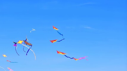 Colorful kites soaring in a clear blue sky over green landscape