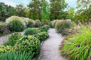 Lush garden pathway lined with vibrant plants and grasses in a serene outdoor setting