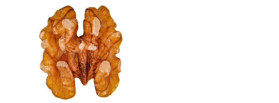 Close-up of a fresh walnut on a white background with empty space and detailed texture showing natural patterns and organic surface features.
