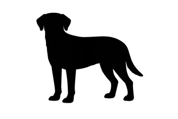 Obraz premium Simple blank dark image with a transparent background to place elements.