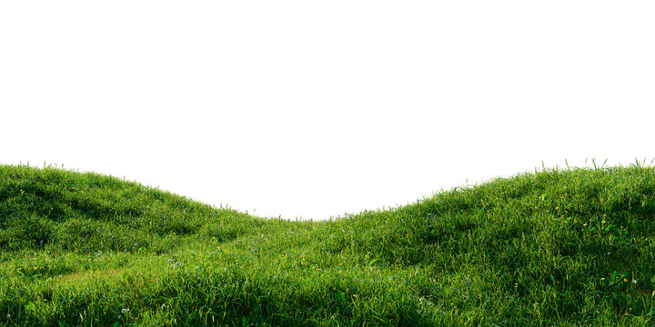 Green grass hill