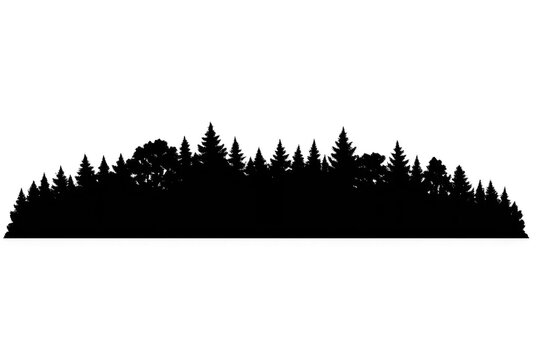 Completely Empty Image, Demonstrating a transparent background clearly.