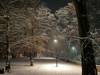 nature, snow, snowy landscape, natural, light, romance, on a walk, white road, road, stomas, white, winter, frost, virgin nature,

