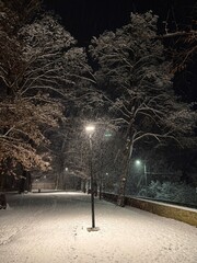nature, snow, snowy landscape, natural, light, romance, on a walk, white road, road, stomas, white, winter, frost, virgin nature,

