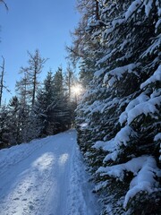 nature, snow, snowy landscape, natural, light, romance, on a walk, white road, road, stomas, white, winter, frost, virgin nature,

