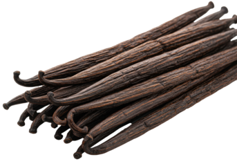 Multiple dry vanilla beans, rich dark brown, slender, deeply wrinkled, and neatly stacked on a transparent background with soft studio light, concept of luxurious gourmet spice