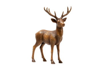 Small deer stag with branching antlers and warm brown coat, standing pose with defined hooves and natural fur texture, isolated on transparent background.
