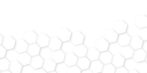 Abstract background with hexagon, modern abstract vector polygonal pattern. Futuristic honeycomb mosaic white background, white and gray hexagon honeycomb geometric copy space.   © MD SAGOR