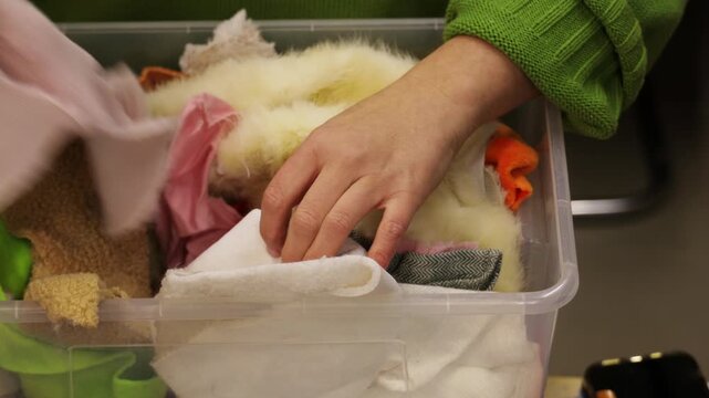 Woman&rsquo;s hands sorting fabric pieces and cleaning a creative studio workspace, preparing the workshop for a new season. DIY, textile craft, organization, small business concept
