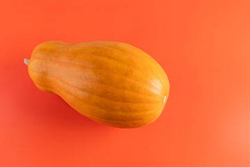 Close-up of a long orange pumpkin fruit on a bright background. A copy of the space. Healthy food, detox. vitamins.