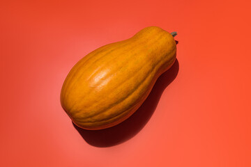 Large long fruit of orange pumpkin close-up on orange background. top view. A copy space. stiff pumpkin shadows. The concept of the autumn harvest.