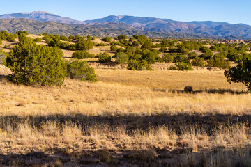 The Nambe Badlands glow under a warm golden hour light in New Mexico. Eroded sandstone formations...