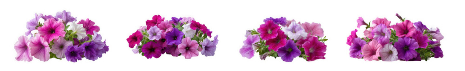 a set of four colorful flower bouquets on transparent background high quality professional detailed modern elegant
