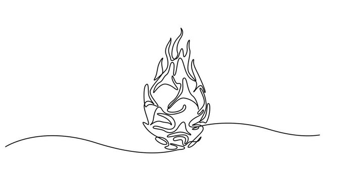 Animated self drawing of continuous line draw of whole healthy organic sweet red dragon fruit for orchard logo identity. Fresh dragonfruit concept for fruit garden icon. Full length one line animation