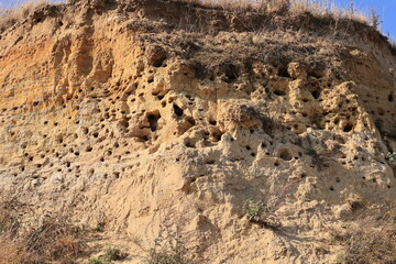 Nistl&ouml;cher an der Steilk&uuml;ste von Boltenhagen an der Ostsee