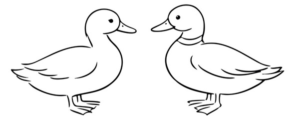 Obraz premium Hand drawn line art ducks set featuring a duckling and an adult duck for children's designs