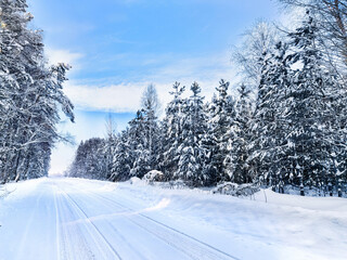 Fototapety na wymiar - Fototapeta24.pl