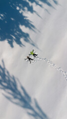 People Making Snow Angels in Winter Landscape