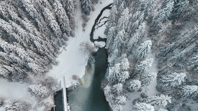 Winter Landscape in Tara National Park