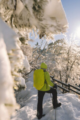 Person Hiking in Winter Mountain Landscape