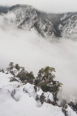Foggy Landscape in Mountains in Tara National Park