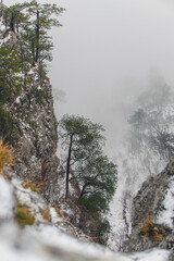 Snowy Mountain Landscape in Tara National Park