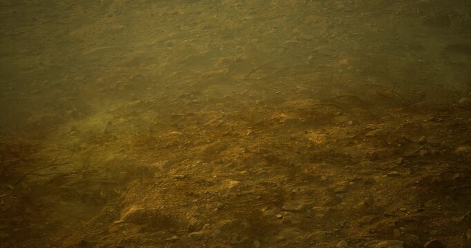 The murky floor of a lake where sunlight barely penetrates. Submerged vegetation and sediment create a mysterious underwater environment.