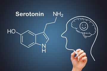 Serotonin Chemical Structure Human Head Concept