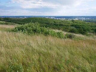 Green Hills and Distant City Horizon in Early Summer Landscape