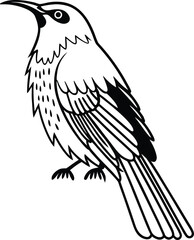 Fototapeta premium nightingale standing silhouette vector illustration 
